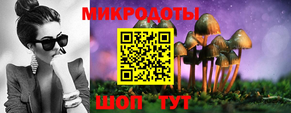 Галлюциногенные грибы прущие грибы  Вход с VPN  Щёлково 